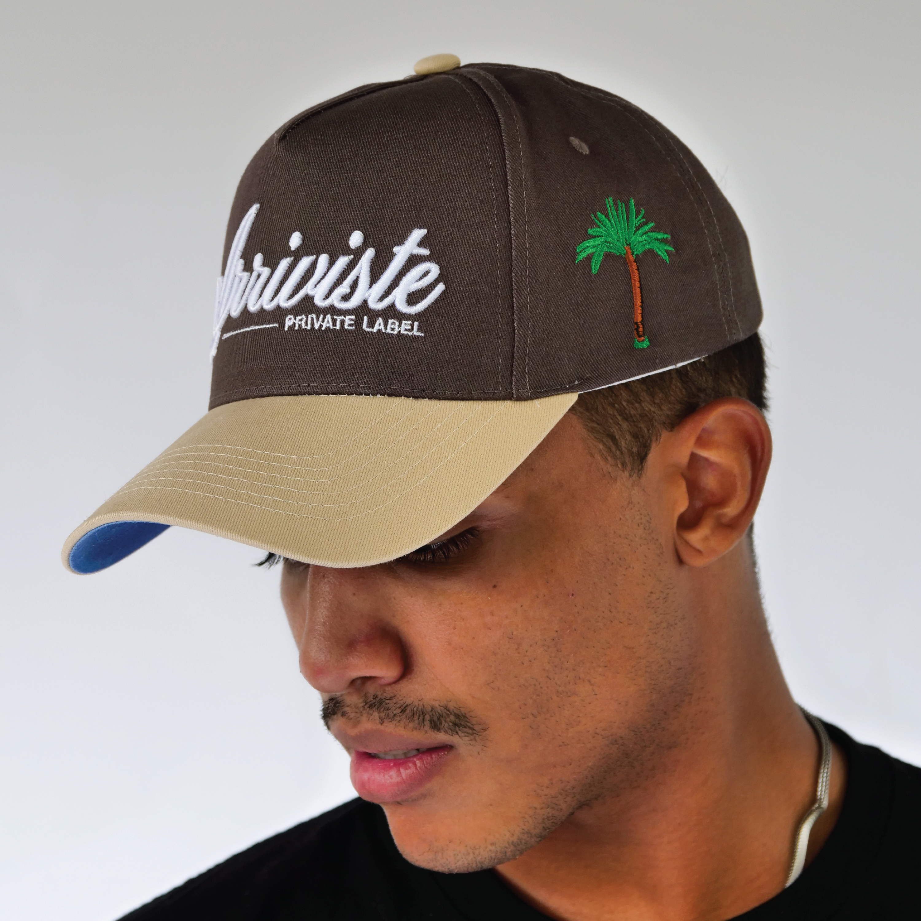 Arriviste Signature Snapback  // Mocha & Khaki